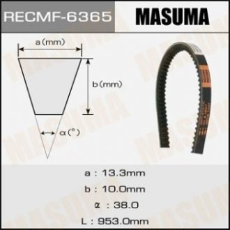 Ремінь клиновий рк., 13x953 мм MASUMA 6365 (фото 1)