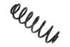 Пружина подвески VW T. PASSAT 05- KOMBI/TIGUAN 05- MAXGEAR 600447 (фото 1)