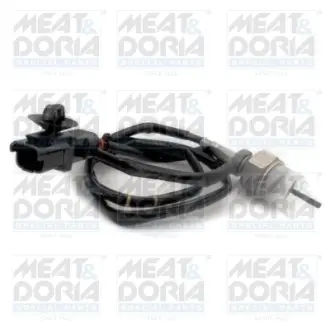 MEATDORIA RENAULT Датчик температури відпрацьованих газів GRAND SCENIC II 1.9 dCi 05-08, MEGANE II 1.9 dCi 05-09 MEAT&DORIA 12304