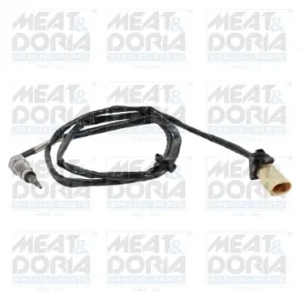 Датчик температури вихлопних газів ((EN) before exhaust fumes recirculation) MAN TGE, VW CRAFTER 09.16- MEAT&DORIA 12585