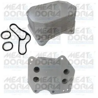 Прокладка корпуса масляного фильтра Ford Transit 2.2 TDCi 06- MEAT&DORIA 95095S