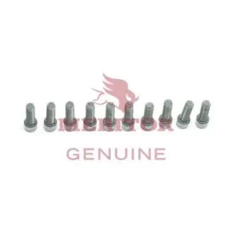 Гальмівний енергоакумулятор MERITOR 68106201
