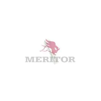 Автозапчасть MERITOR 68109010