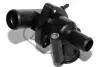 Корпус термостата Ford Mondeo 2.0D -02 Metalcaucho 03810 (фото 1)