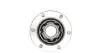 ШРКШ (внутренний) Fiat Croma/Tempra/Tipo 85-96/Fiorino 88-00 (25z/100mm) Metelli 16-1002 (фото 6)
