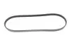 Ремень генератора Honda Civic 1.4/1.6 16V/Nissan Primera 2.0 16V 90-01 (4PK845) MEYLE 050 004 0845 (фото 1)