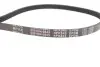 Ремень генератора Honda Civic 1.4/1.6 16V/Nissan Primera 2.0 16V 90-01 (4PK845) MEYLE 050 004 0845 (фото 4)