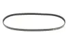 Ремень генератора Fiat Doblo 1.6i 01- (4PK875) MEYLE 050 004 0875 (фото 1)