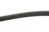 Ремень генератора Fiat Doblo 1.6i 01- (4PK875) MEYLE 050 004 0875 (фото 3)