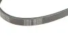 Ремень генератора Fiat Doblo 1.6i 01- (4PK875) MEYLE 050 004 0875 (фото 4)