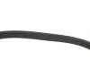 Ремень генератора Opel Movano 2.8DTI 98-01/Renault Kangoo 1.5dCi/Master 2.5D/2.8DTI 98-01 (5PK1200) MEYLE 050 005 1200 (фото 4)