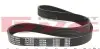 Ремінь генератора Citroen Berlingo/Peugeot Partner 1.6HDI (6PK800) MEYLE 050 006 0800 (фото 2)