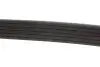 Ремень генератора Peugeot Partner 10-/Citroen Berlingo 05- 1.6 HDI (6PK976) MEYLE 050 006 0976 (фото 2)