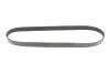 Ремень генератора Peugeot Partner 10-/Citroen Berlingo 05- 1.6 HDI (6PK976) MEYLE 050 006 0976 (фото 4)