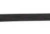 Ремень генератора Citroen Jumper/Fiat Ducato 2.8HDi/JTD 00- (ALT,WP) (6PK995) MEYLE 050 006 0995 (фото 3)