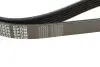 Ремінь генератора VW Caddy 1.9D/SDI -03 (6PK1035) MEYLE 050 006 1035 (фото 4)