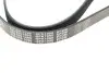 Ремень генератора VW Golf V/VI/Passat VI/VII/Skoda Fabia 1.4TSI/FSI/1.6 FSI 97- (6PK1090) MEYLE 050 006 1090 (фото 4)