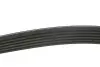 Ремінь генератора Fiat Ducato/Citroen Jumper 1.9D/TD 94-/Renault Trafic 2.5dCI 03- (6PK1155) MEYLE 050 006 1155 (фото 3)