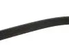 Ремінь генератора Citroen Jumper 2.0HDI (6PK1185) MEYLE 050 006 1185 (фото 3)