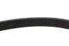 Ремень генератора Renault Laguna 2.0 95-01 (6PK1240) MEYLE 050 006 1240 (фото 3)