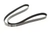 Ремень генератора Citroen Berlingo 1.6 00-08/ Nemo 1.4i 08- (6PK1560) MEYLE 050 006 1560 (фото 1)
