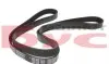 Ремень генератора Fiat Ducato 2.2D/Ford Transit 2.2TDCI 06- (+AC) (6PK1670) MEYLE 050 006 1670 (фото 2)