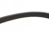 Ремень генератора VW LT 28-35/28-46 2.8TDI 01-06 MEYLE 050 006 2155 (фото 3)