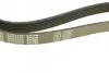 Ремень генератора MB Sprinter CDI (-AC) (с обводным роликом)) (6PK2255) MEYLE 050 006 2255 (фото 3)