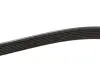 Ремінь генератора BMW 5 (E39)/7 (E38) 3.5i/4.0i 93-04 (7PK1629) MEYLE 050 007 1629 (фото 3)
