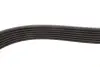 Ремень генератора Ford Transit 2.4 DI-2.4TDCI 00-06 (7PK2875) MEYLE 050 007 2875 (фото 3)