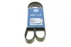 Ремень генератора Mazda 3/5/6 2.0 DI/CD 02-10 (8PK1226) MEYLE 050 008 1226 (фото 1)