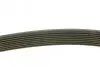 Ремень генератора Mazda 3/5/6 2.0 DI/CD 02-10 (8PK1226) MEYLE 050 008 1226 (фото 2)