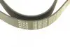 Ремень генератора Mazda 3/5/6 2.0 DI/CD 02-10 (8PK1226) MEYLE 050 008 1226 (фото 3)