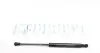 Амортизатор капоту BMW 5 (E39) 95-03 MEYLE 340 160 0110 (фото 1)