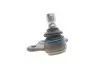Опора шаровая (передняя/снизу)) Opel Omega B/Vectra B -03 MEYLE 616 010 5583 (фото 6)