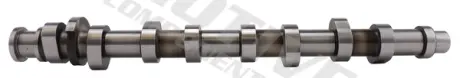 Розподільчий вал AUDI A3, A4 B5, A4 B6, A4 B7 SEAT ALTEA, ALTEA XL, EXEO, EXEO ST, LEON, TOLEDO III SKODA OCTAVIA I, OCTAVIA II VW BORA, BORA I, CADDY III 1.6/1.6ALK/1.6LPG 06.00-05.15 MOTIVE T2184