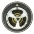 Термостат Opel Arena/Renault Clio II/Kangoo/Laguna II/Trafic 1.9D/dTi/dCi 82- (82 C) MOTORAD 2041-82K (фото 4)