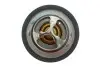 Термостат Renault Megane III/Laguna III/X-Trail/QashqaiSuzuki Grand Vitara II 2.0/2.5 02- MOTORAD 457-95K (фото 2)