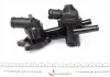 Термостат системи охолодження MOTORAD 709-87/83K (фото 5)