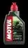 Масло для 4-тактных двигателей MOTUL 105960 (фото 1)