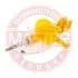 Стійка передня 2108 права (MASTER-SPORT) газо-масляна MSG 2108KRPCSMS (фото 1)