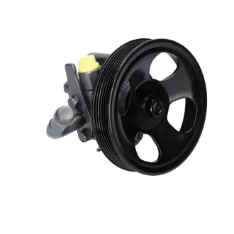 Насос ГУР восстановленный HYUNDAI SANTA FE I 01-06,TRAJET 00-08 MSG HY040R