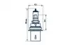 Лампа HB5 12V 65/55W PX29t STANDARD NARVA 48007 (фото 1)