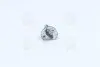 Лампа накаливания H1 12V 55W P14.5s (выр-во) NARVA 48320C1 (фото 2)