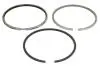 Поршневі кільця (98,48мм (STD)) MASSEY FERGUSON 1000 6.354-T6.354 01.64-12.90 NE 120036002200 (фото 1)