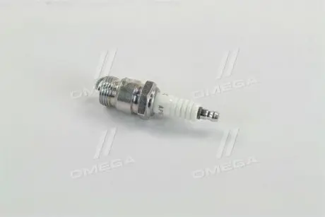 2710 Свічка запалювання NGK AP6FS