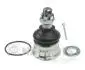 Шаровая опора NIPPARTS J4861023 (фото 1)