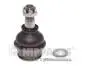 Шаровая опора NIPPARTS J4862035 (фото 1)