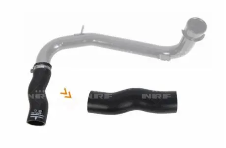 Патрубок інтеркулера Citroen Jumper/Fiat Ducato/Peugeot Boxer 3.0 HDI 06- NRF 166170