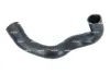 Патрубок інтеркулера Ford Connect 1.8TDCi 06-13 NRF 166294 (фото 3)